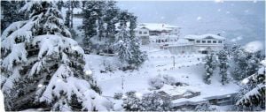 Best Places to Visit in Chandigarh 7 Dalhousie